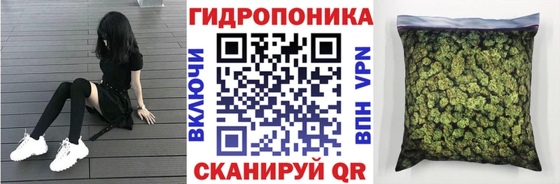 Каннабис план  Гремячинск 